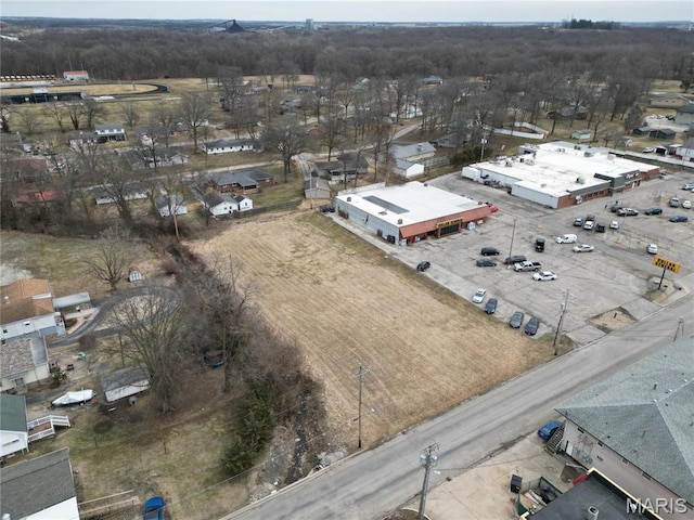 1131 Rountree St, Hillsboro, IL 62049 - photo 5