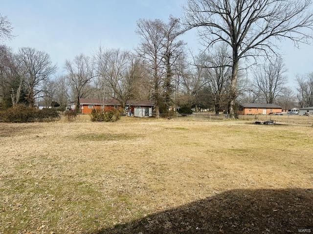 247 Harrison Ln, Poplar Bluff, MO 63901 - view of yard