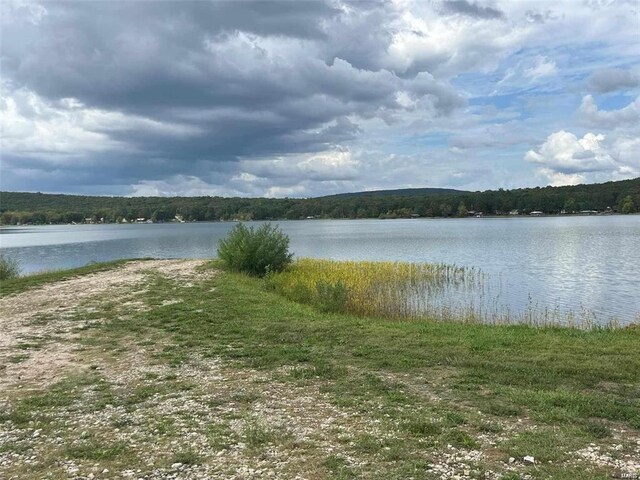 215 Michigan Dr, Ironton, MO 63650 - photo 7
