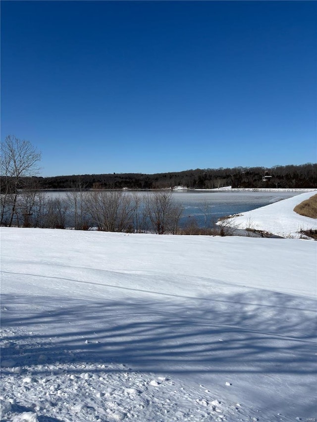 109 Lakeshore Dr, De Soto, MO 63020 - photo 1