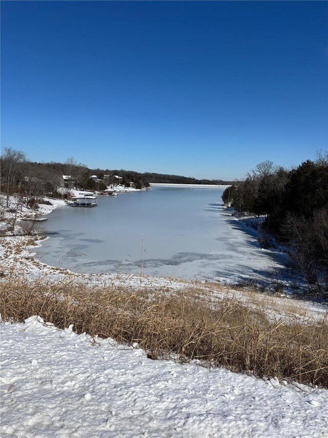 109 Lakeshore Dr, De Soto, MO 63020 - photo 5