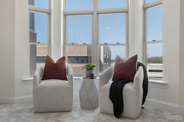 842 N New Ballas Ct Unit 303, Saint Louis, MO 63141 - sitting room with baseboards and carpet