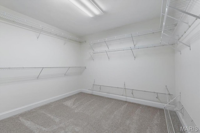842 N New Ballas Ct Unit 303, Saint Louis, MO 63141 - spacious closet with carpet flooring