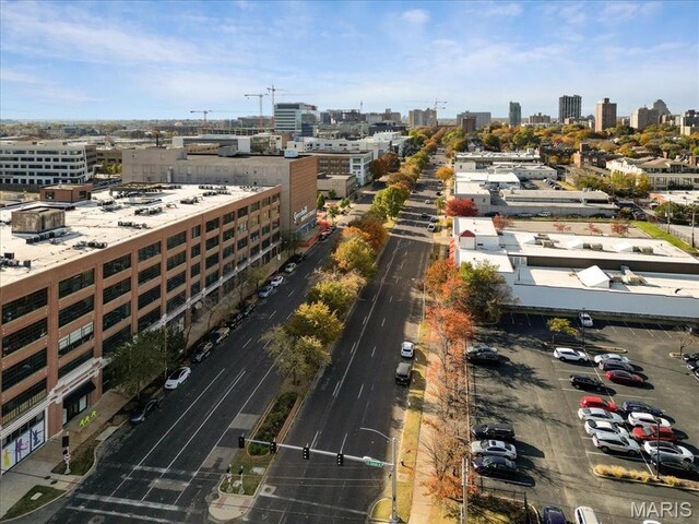 4100 Forest Park Ave Unit 221, Saint Louis, MO 63108 - photo 4