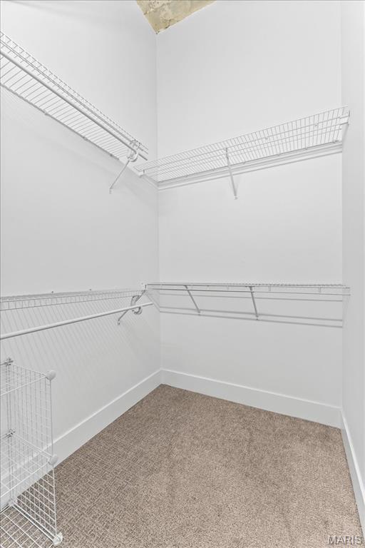 4100 Forest Park Ave Unit 221, Saint Louis, MO 63108 - photo 16