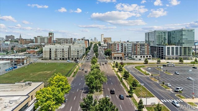 4100 Forest Park Ave Unit 221, Saint Louis, MO 63108 - photo 32