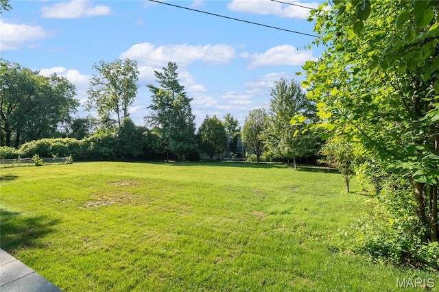 view of yard