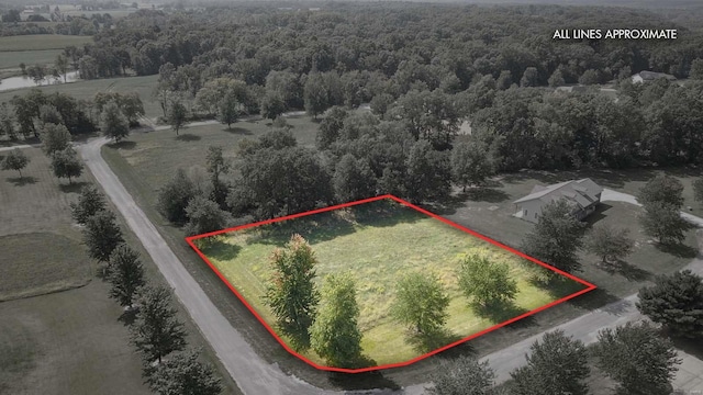 0 Springman Ln, Brighton, IL 62012