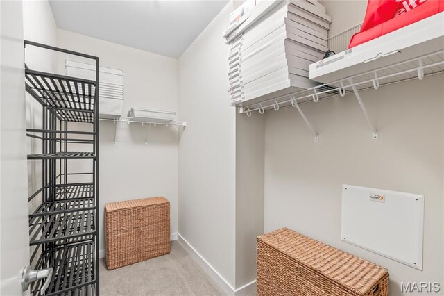 9 N Euclid Ave Unit 508, Saint Louis, MO 63108 - walk in closet with carpet