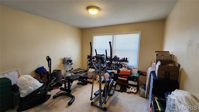 1147 Rue La Chelle Unit 1147, Creve Coeur, MO 63141 - workout area featuring carpet