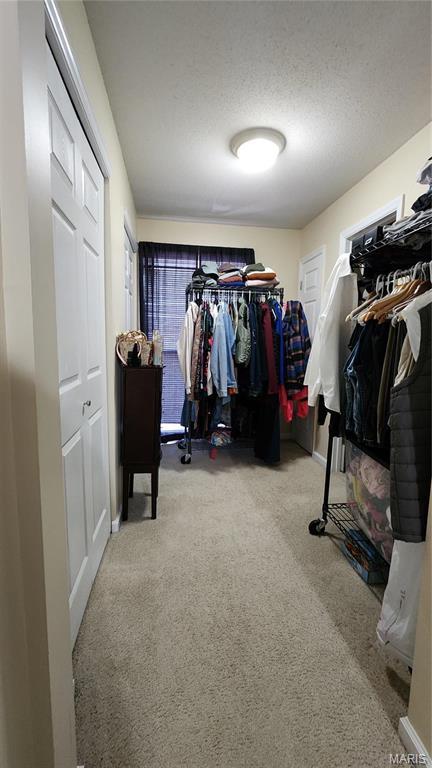 1147 Rue La Chelle Unit 1147, Creve Coeur, MO 63141 - walk in closet featuring carpet floors