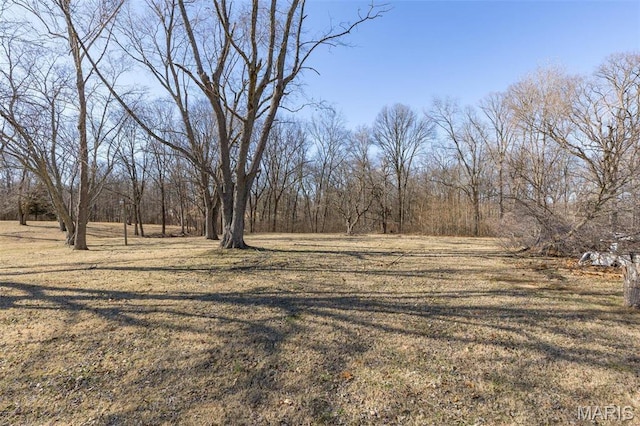 4279 Ee Hwy, Farmington, MO 63640 - view of yard with a view of trees