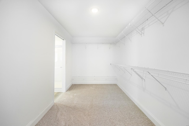 7349 Providence, Edwardsville, IL 62025 - spacious closet featuring light colored carpet