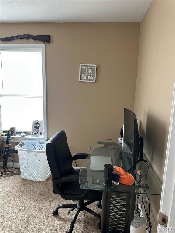 1227 County Road 467, Poplar Bluff, MO 63901 - photo 21