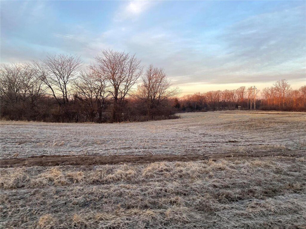 221 Bluegrass Pasture Ct, Wentzville, MO 63385