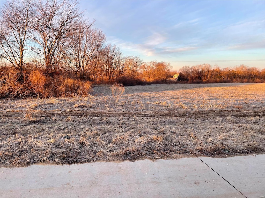 205 Bluegrass Pasture Ct, Wentzville, MO 63385