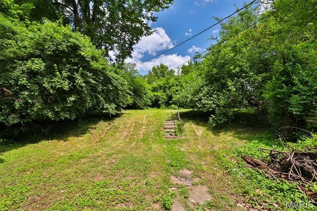 8033 Washington St, Saint Louis, MO 63114 - photo 33