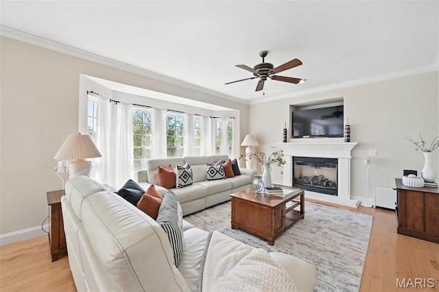 living room featuring crown molding, ceiling fan, light wood finished floors, a glass covered fireplace, and baseboards