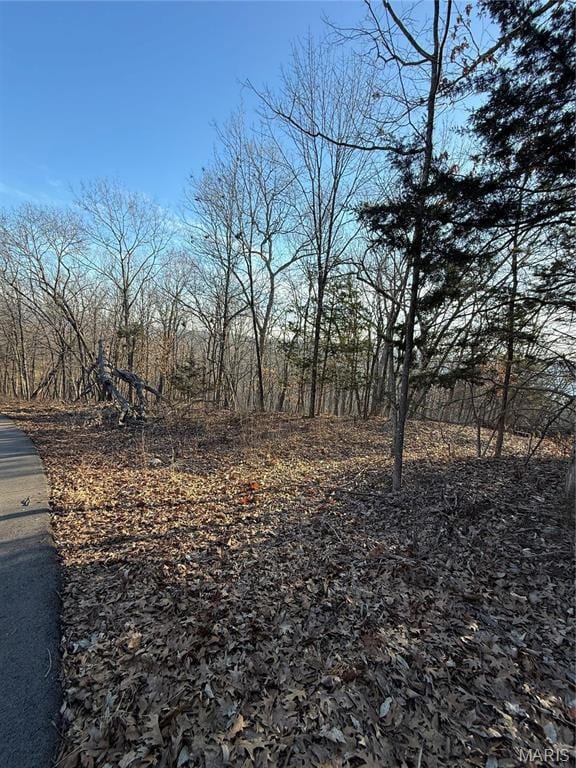 1652 Timber Bluff Trl, Pacific, MO 63069 - photo 3