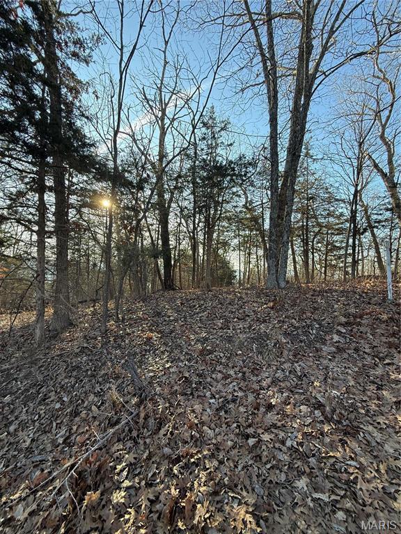 1652 Timber Bluff Trl, Pacific, MO 63069 - photo 4