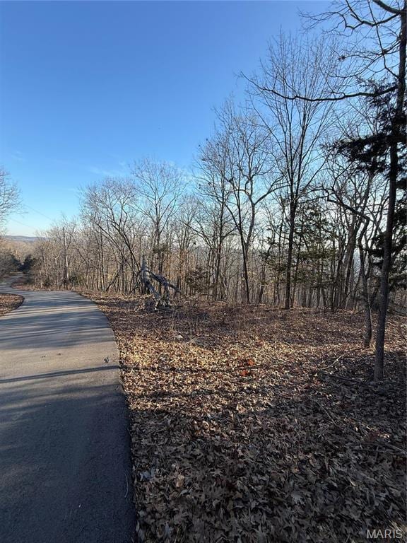 1652 Timber Bluff Trl, Pacific, MO 63069 - photo 5