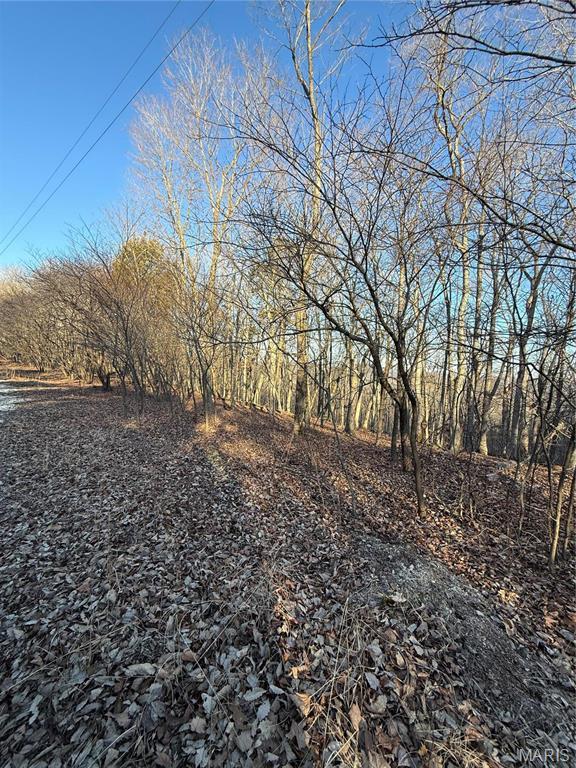 1633 Timber Bluff Trl, Pacific, MO 63069 - photo 3