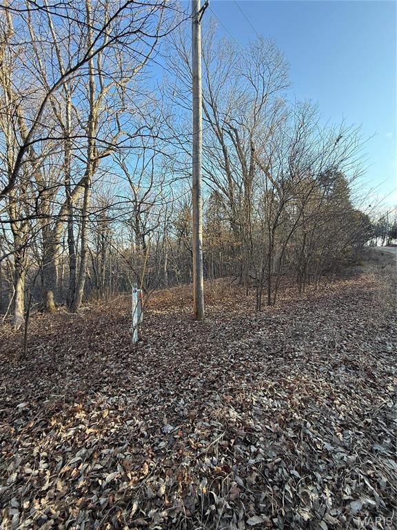 1633 Timber Bluff Trl, Pacific, MO 63069 - photo 4