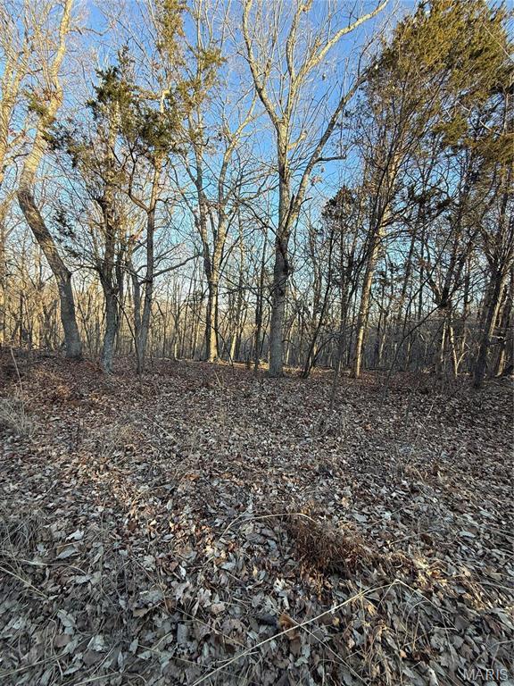 1633 Timber Bluff Trl, Pacific, MO 63069 - photo 5