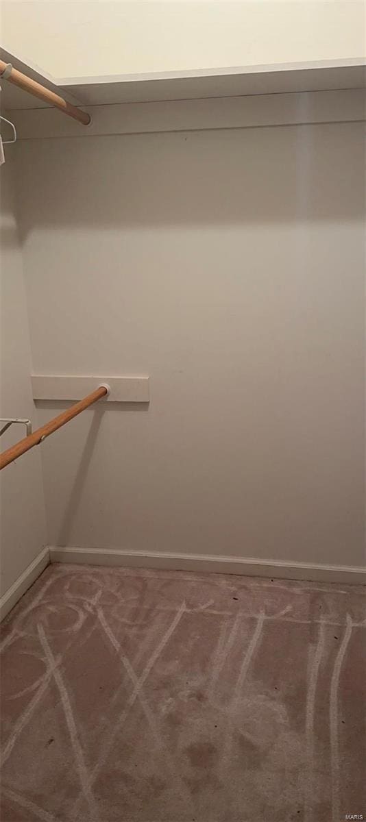 810 E Cedar St, Bertrand, MO 63823 - walk in closet featuring carpet