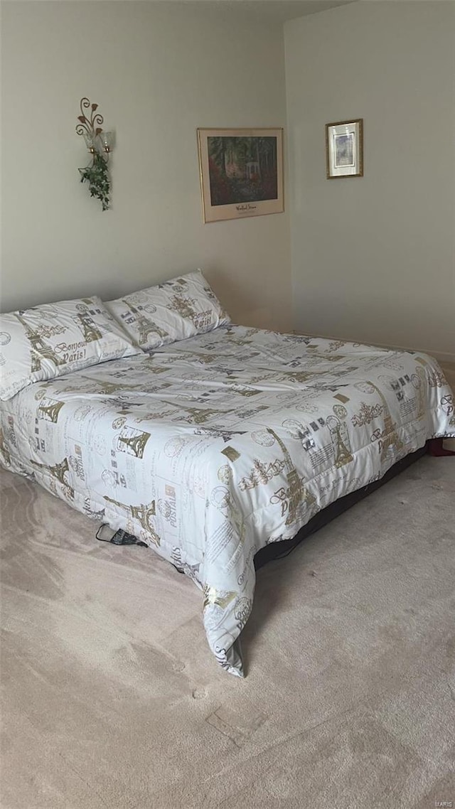 810 E Cedar St, Bertrand, MO 63823 - view of carpeted bedroom