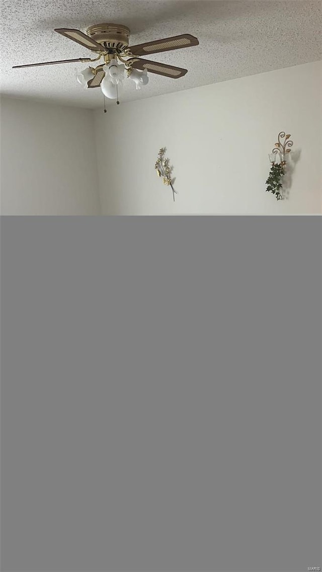 810 E Cedar St, Bertrand, MO 63823 - interior space featuring a textured ceiling and a ceiling fan