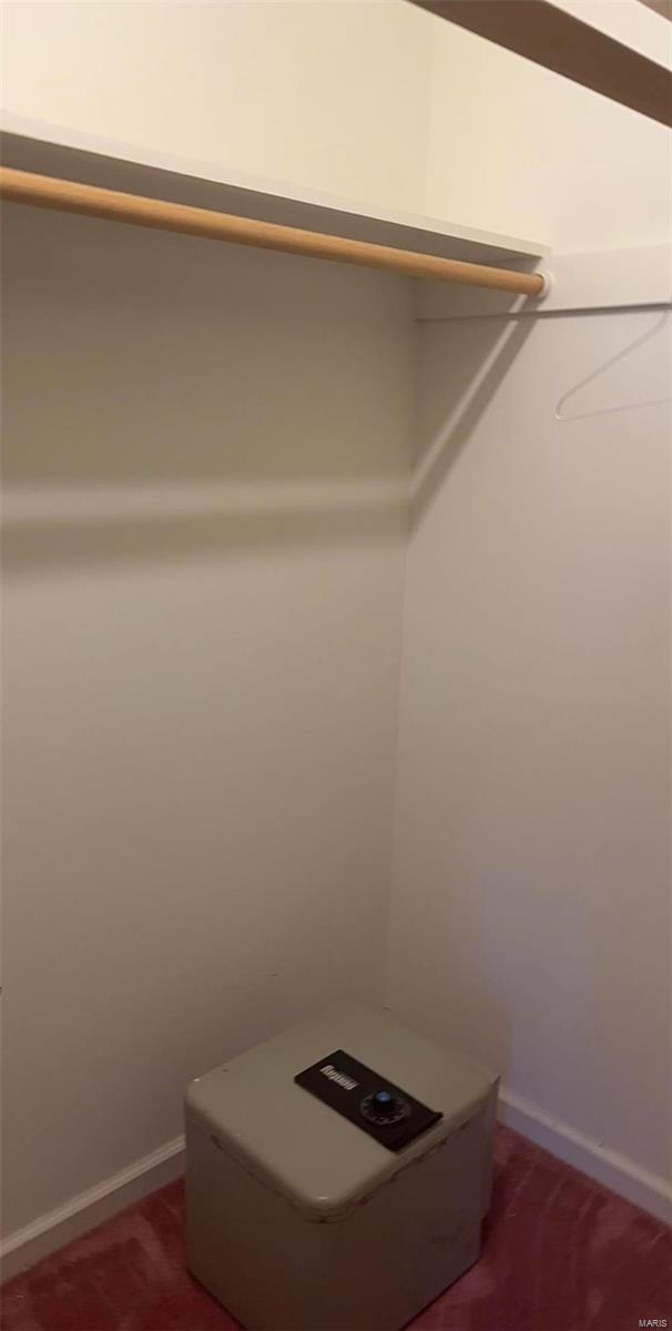 810 E Cedar St, Bertrand, MO 63823 - view of spacious closet