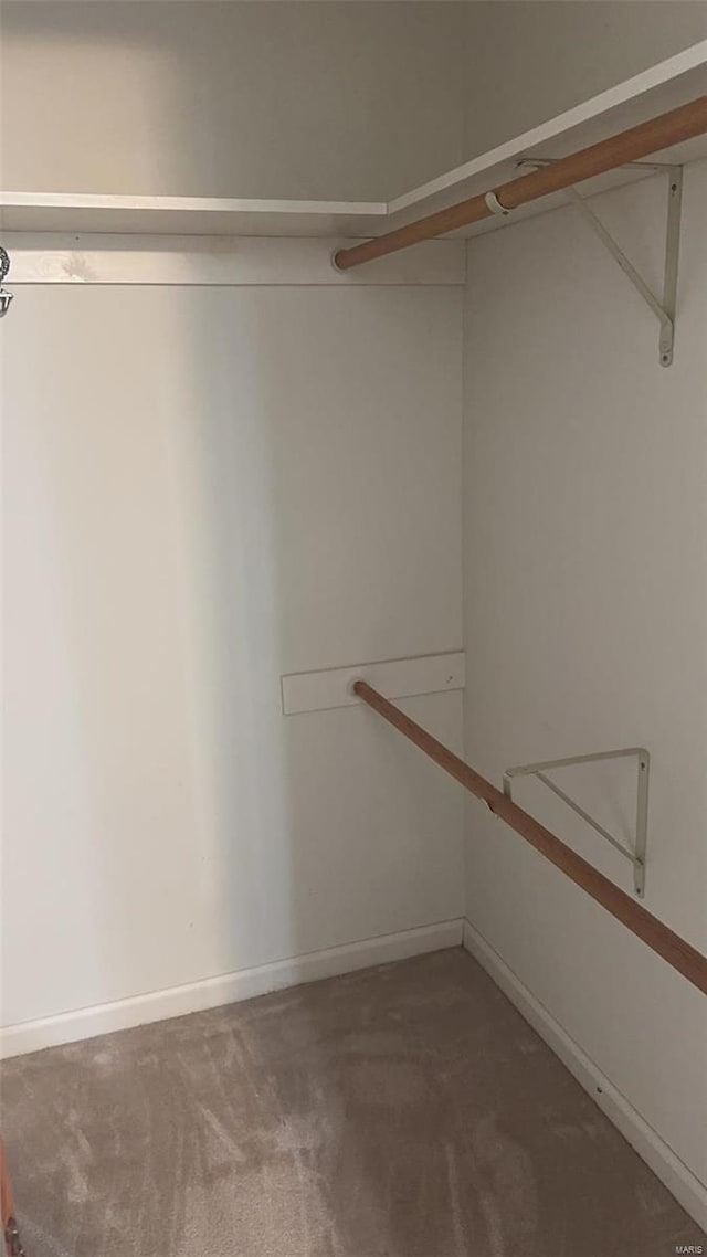 810 E Cedar St, Bertrand, MO 63823 - walk in closet with carpet