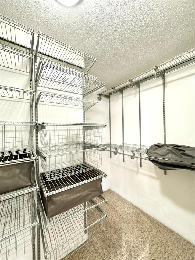 5284 Summer Cir, Imperial, MO 63052 - view of storage room