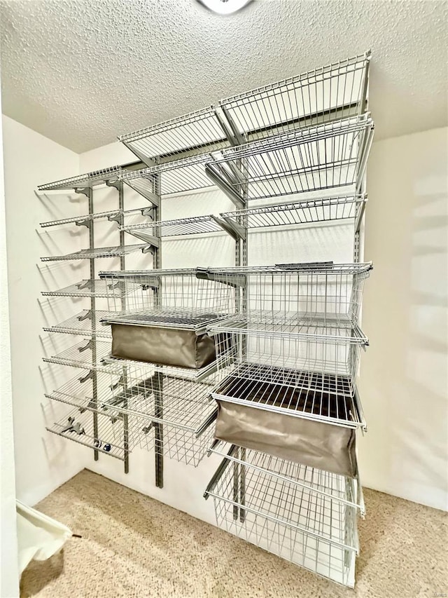 5284 Summer Cir, Imperial, MO 63052 - view of storage