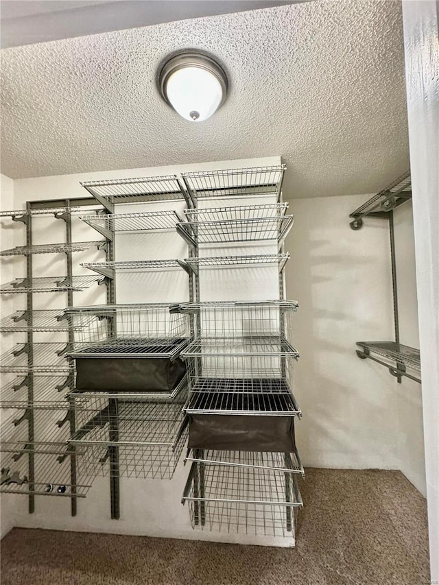 5284 Summer Cir, Imperial, MO 63052 - view of storage area