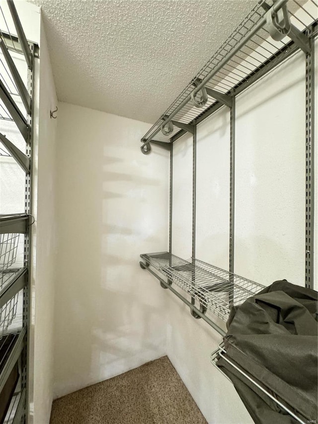 5284 Summer Cir, Imperial, MO 63052 - walk in closet featuring carpet