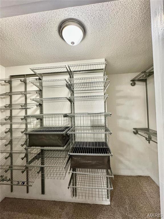 5284 Summer Cir, Imperial, MO 63052 - walk in closet with carpet