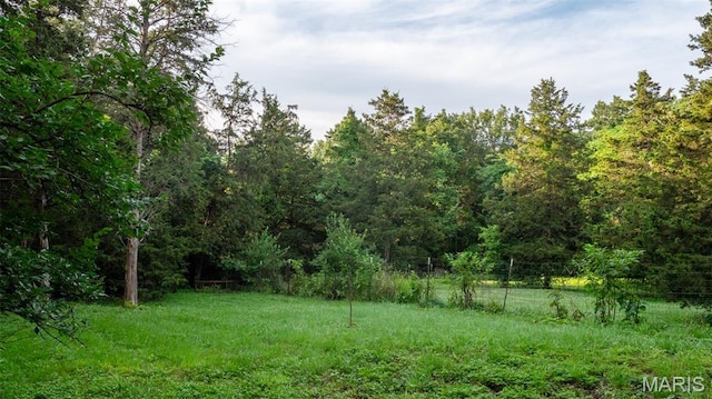 2014 House Ln, Wentzville, MO 63385 - photo 54