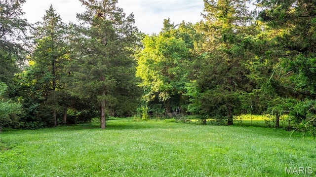 2014 House Ln, Wentzville, MO 63385 - photo 56