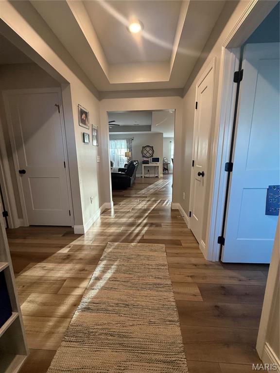 379 Lakeview Cpe, Girardeau, MO 63701 - corridor featuring baseboards, wood finished floors, and a tray ceiling