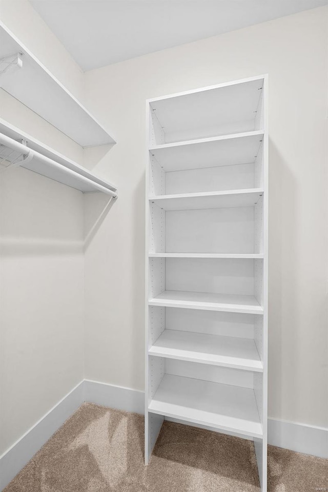 16908 Lewis Spring Farms Rd, Wildwood, MO 63005 - walk in closet with carpet flooring