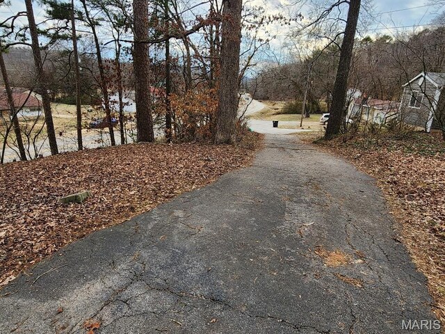 1504 Main St, Van Buren, MO 63965 - view of street