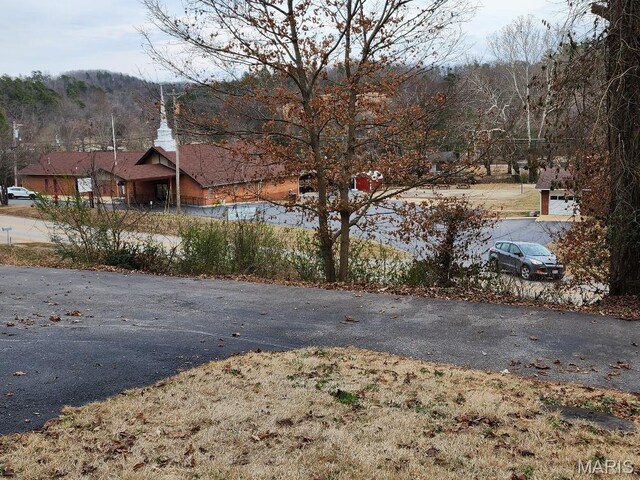 1504 Main St, Van Buren, MO 63965 - view of yard