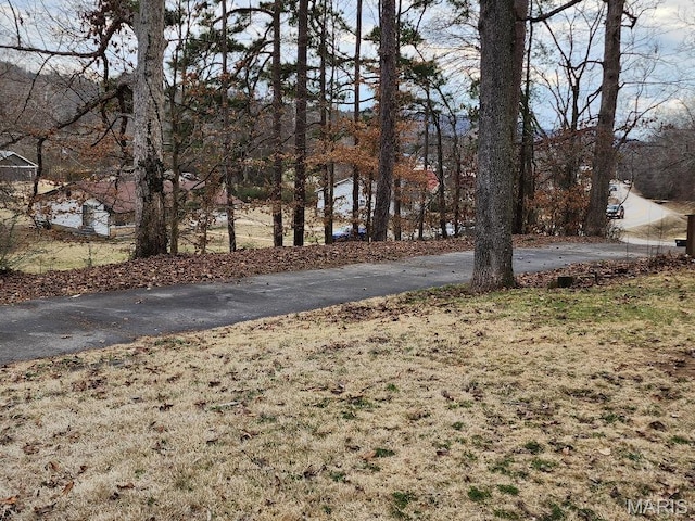1504 Main St, Van Buren, MO 63965 - view of street