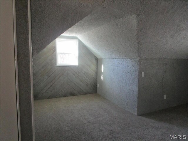 7 Pineview Ln, Collinsville, IL 62234 - additional living space featuring carpet, a textured ceiling, and vaulted ceiling