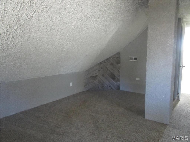 7 Pineview Ln, Collinsville, IL 62234 - additional living space featuring a textured ceiling, carpet flooring, and lofted ceiling