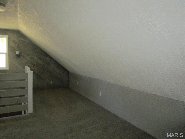 7 Pineview Ln, Collinsville, IL 62234 - bonus room with lofted ceiling, carpet floors, and a textured ceiling