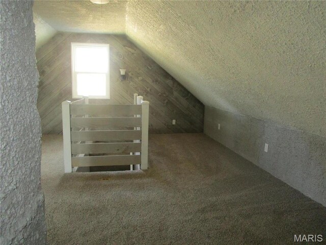 7 Pineview Ln, Collinsville, IL 62234 - additional living space with vaulted ceiling, carpet, and a textured ceiling