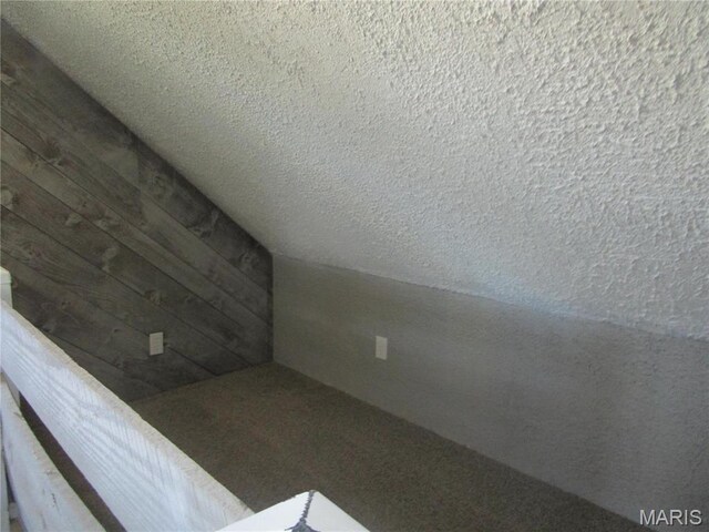 7 Pineview Ln, Collinsville, IL 62234 - view of bonus room
